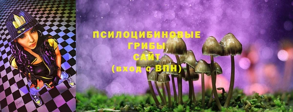 apvp Верея