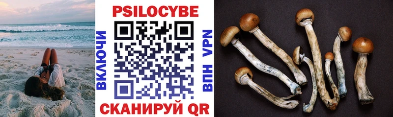 Псилоцибиновые грибы мухоморы  Губкинский 